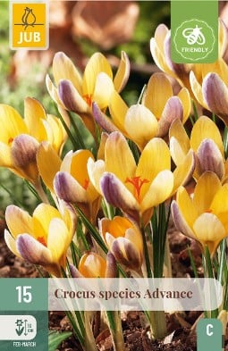 Advance kaufen, clicken für mehr Details Advance