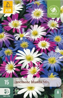 Anemone Blanda Mischung kaufen, clicken für mehr Details Anemone Blanda Mischung