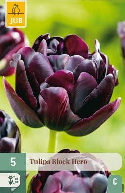 Black Hero kaufen, clicken für mehr Details Black Hero