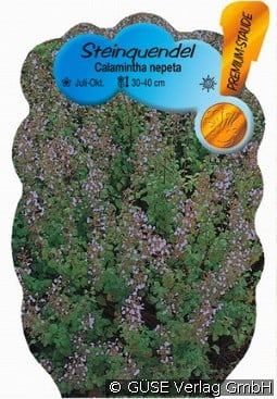 Steinquendel, Bergminze kaufen, clicken für mehr Details Steinquendel, Bergminze