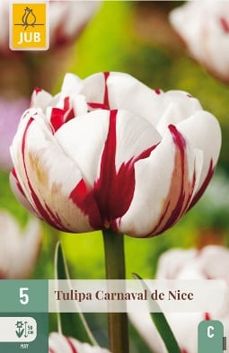 Carnaval de Nice kaufen, clicken für mehr Details Carnaval de Nice