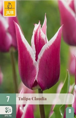 Claudia kaufen, click for more details Claudia