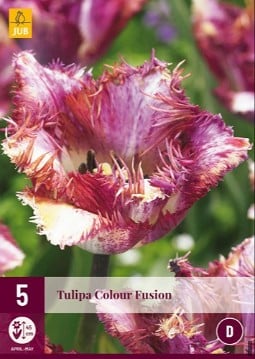 Colour Fusion kaufen, click for more details Colour Fusion