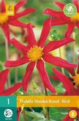 Dahlie Honka Rood kaufen, clicken für mehr Details Dahlie Honka Rood