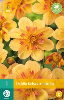 Dahlie Kelsey Annie Joy kaufen, click for more details Dahlie Kelsey Annie Joy