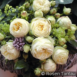 Wedding Piano kaufen, clicken für mehr Details Wedding Piano