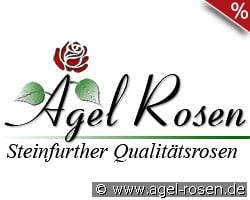 Tranquility kaufen, click for more details Tranquility