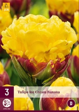 Ice Cream Banana kaufen, click for more details Ice Cream Banana