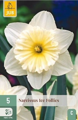 Ice Follies kaufen, click for more details Ice Follies