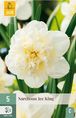 Ice King kaufen, click for more details Ice King