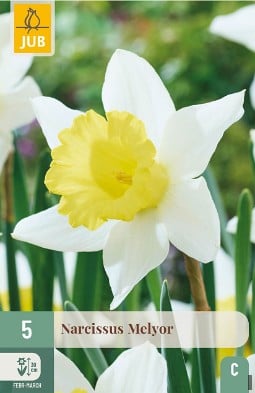 Melyor kaufen, click for more details Melyor