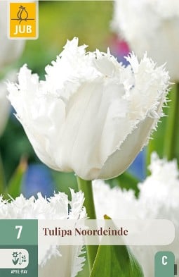 Noordeinde kaufen, click for more details Noordeinde