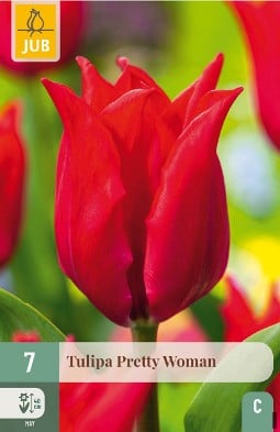 Pretty Woman kaufen, clicken für mehr Details Pretty Woman