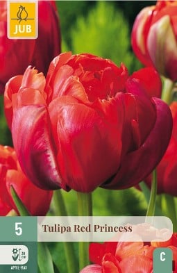 Red Princess kaufen, clicken für mehr Details Red Princess