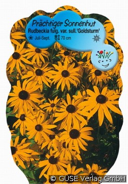 Sonnenhut kaufen, clicken für mehr Details Sonnenhut