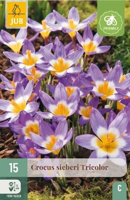 Sieberi Tricolor kaufen, clicken für mehr Details Sieberi Tricolor