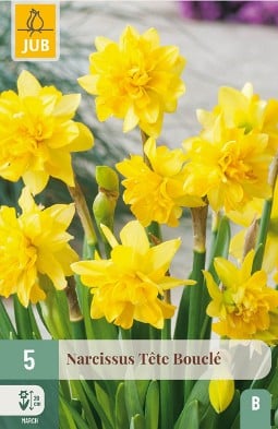 Tete Bouclé kaufen, click for more details Tete Bouclé