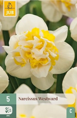 Westward kaufen, click for more details Westward