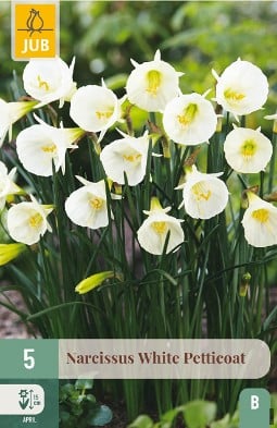 White Petticoat kaufen, click for more details White Petticoat