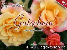 Gutschein